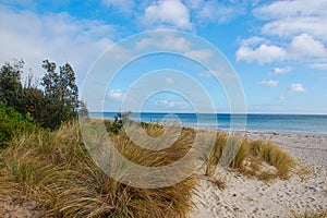 a lonesome beach at summer