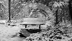 Lonesome Bench on a Snow Blizzard