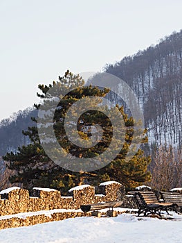 Lonesome benches at sunset with snow, stone wall and pine tree at golden hour