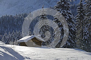 Lonesome cottage in winter