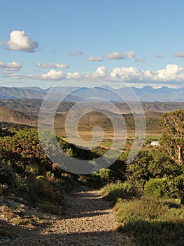 A lonesome jeeptrack disappearing into the Karoo