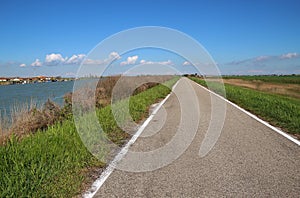 Lonesome road in the region Delta del Po, a natural paradise. Italy.