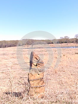 Lonesome rock standing