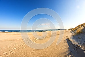 Lonesome, unaffected beach of the Baltic Sea