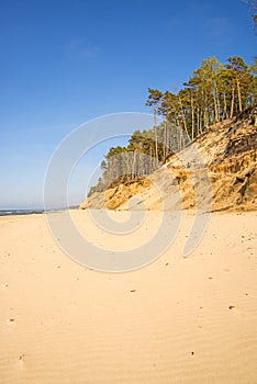 Lonesome, unaffected beach of the Baltic Sea photo