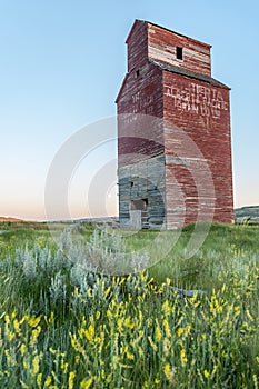 Long abandoned grain elevator