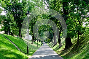 Long alley and green trees in the Citadel Park Parcul Cetatii, in the historical center of the Sibiu city, in Transylvania