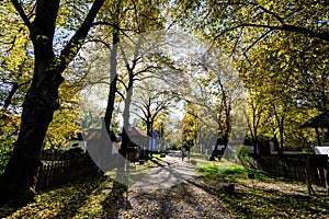 Long alley with traditional Romanian houses surounded with many old trees with green, yellow, orange and brown leaves in Village