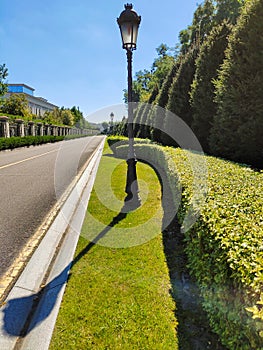 A long asphalt empty road in perspective between a decorated fence and a park with rows of trees