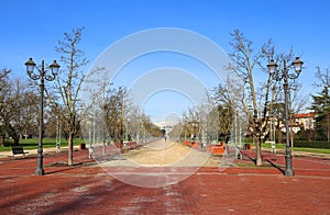 Long Avenue in the public park called CAMPO MARZO in Vicenza photo