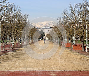 Long Avenue in the public park called CAMPO MARZO in Vicenza photo