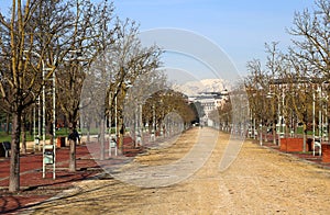 long Avenue in the public park called CAMPO MARZO in Vicenza, It photo