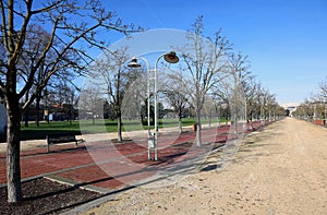 long Avenue in the public park called CAMPO MARZO in Vicenza, It photo