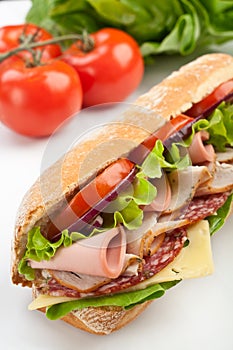 Long baguette sandwich with meat and vegetables