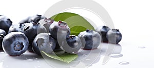 Long banner with pile of ripe fresh blueberries with blueberry leaves on isolated white background. Organic farm food.