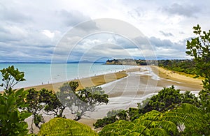 Long Bay Beach Auckland New Zealand; Regional Park