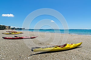 Long Bay Beach Park in Auckland,New Zealand.