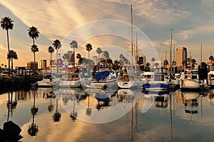 Boats docked in Long Beach CA
