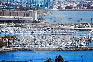 Long Beach marina with anchored yachts, LA, USA