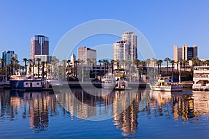Long Beach Skyline