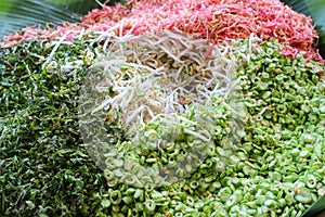 Long bean and vegetables:Close up photo