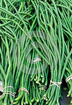 Long beans