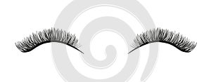 Long and beautiful false eyelashes vector illustration. Lashes isolated on white background