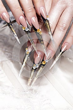 Long beautiful manicure with flowers on female fingers. Nails design. Close-up