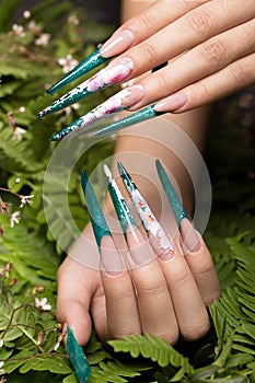 Long beautiful manicure with flowers on female fingers. Nails design. Close-up