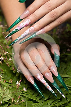 Long beautiful manicure with flowers on female fingers. Nails design. Close-up