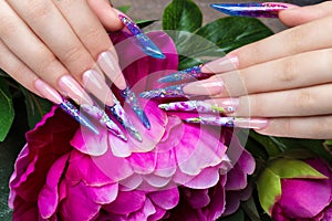 Long beautiful manicure with flowers on female fingers. Nails design. Close-up photo