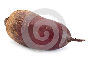 Long beet-root closeup