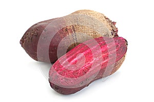 Long beet-root closeup