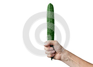 Long big cucumber in male hand isolated on white background