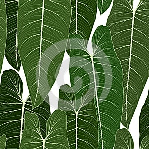 Long big tropical green leaves seamless pattern photo