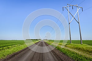 Long black dirt road fading into the distance between fields.