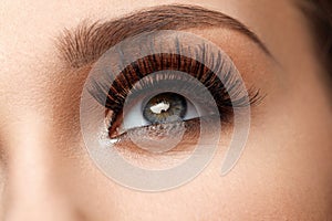 Long Black Eyelashes. Closeup Beautiful Female Eye With Makeup