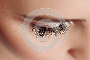 Long Black Eyelashes. Closeup Of Beautiful Woman Eyebrow And Big Eye With Fake Lashes. Beauty Cosmetics. High Resolution