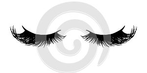 Long black lashes vector illustration. Beautiful Eyelashes isolated on white