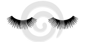 Long black lashes vector illustration. Beautiful Eyelashes isolated on white
