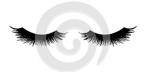 Long black lashes vector illustration. Beautiful Eyelashes isolated on white