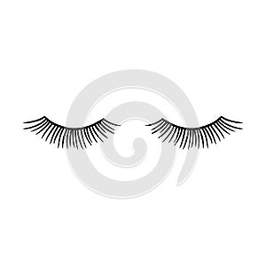 Long black lashes vector illustration. Beautiful Eyelashes isolated on white