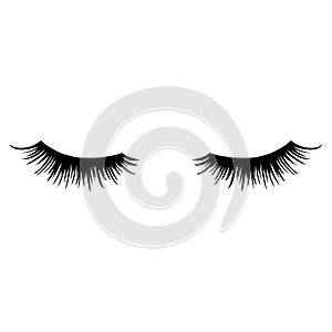 Long black lashes vector illustration. Beautiful Eyelashes isolated on white