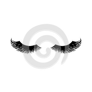 Long black lashes vector illustration. Beautiful Eyelashes isolated on white