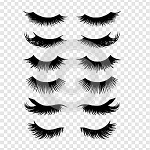 Long black lashes vector set. Different types Beautiful Eyelashes