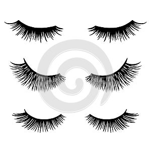 Long black lashes vector set. Different types Beautiful Eyelashes