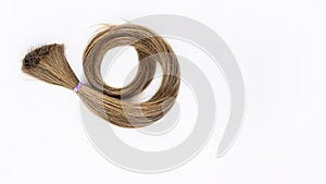 Long blond hair donation tightened with violet ribbon ponio for cancer patient on white background. Natural material for making