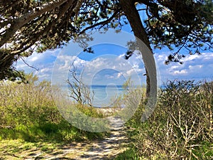 Long boardwalk on the beach