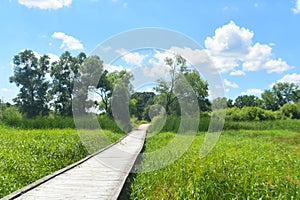 Long boardwalk through green meadow on a clear sunshiney day