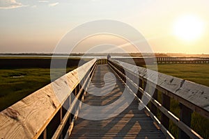 Long boardwalk over marsh